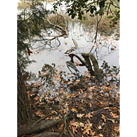 Suffolk King Tide image